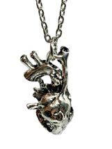 Anatomical Heart Necklace Heart Shape Pendant Necklace - £4.26 GBP