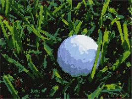 Pepita Needlepoint Canvas: Golf Ball, 12&quot; x 9&quot; - £67.34 GBP+