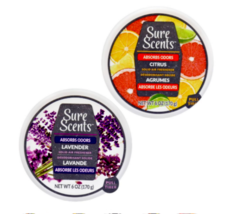 NEW SEALED Scent Scents Solid Air Absorber Refreshing Lavender/Citrus 5 ... - $22.92 CAD+