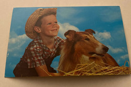Vintage Postcard Unposted Dogs Boy In Hat With Collie Dog - $3.80