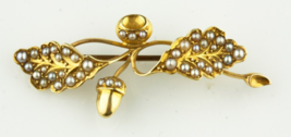 14k Yellow Gold Victorian Oak Blossom Seed Pearl Brooch Gorgeous - $534.59