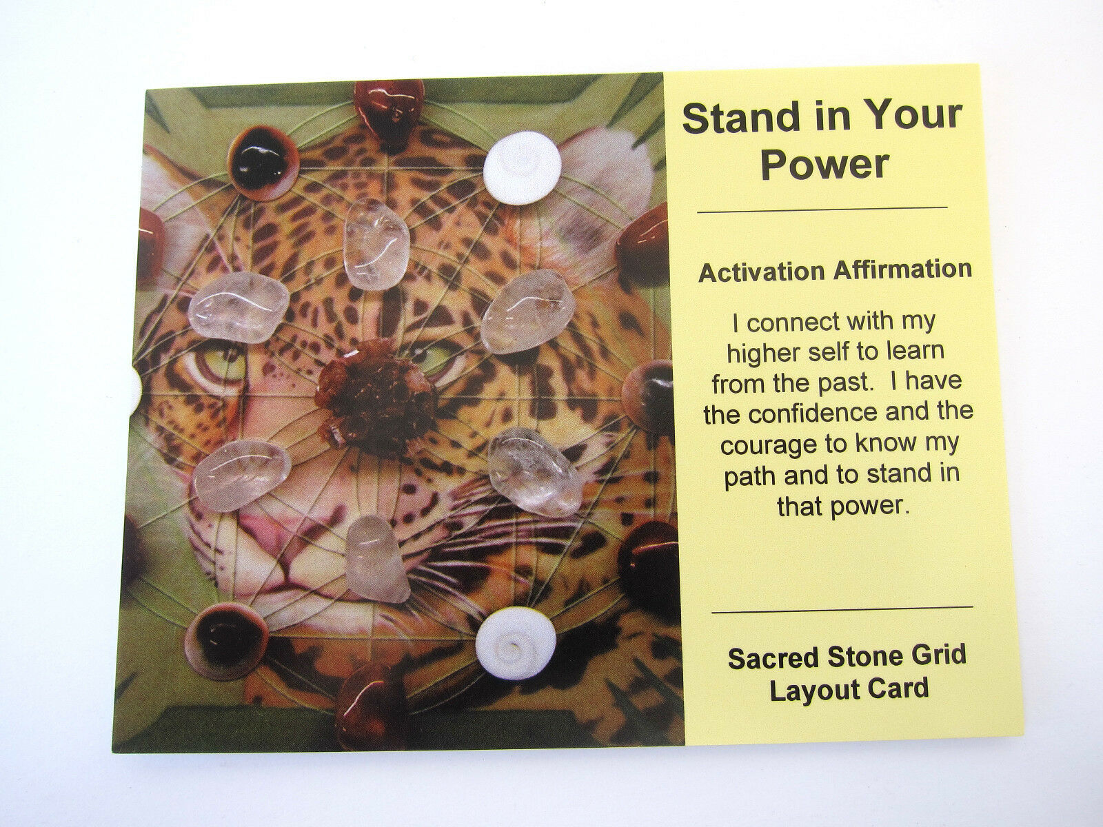 Stand in Your Power Grid Card Crystal Healing Cardstock 4x5inch Jaguar T... - $1.67