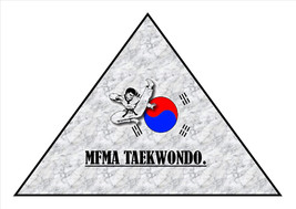 Mfma Taekwondo: Expert 1ST Dan Package. - £27.26 GBP