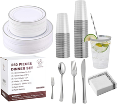 Silver Disposable Plastic Dinnerware Set 250 Count, 50 Silver Plastic Plates, 25 - £42.08 GBP