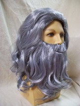 Gray Renaissance Man Wig Beard Medieval Wizard Father Time Noah Moses Bi... - $17.95