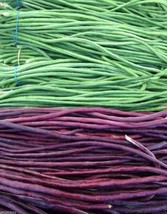 PWO Fresh 100Pcs Vigna Sinensis Seeds Yard Long Bean Mixed Red And Green Color - £6.86 GBP