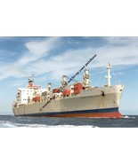 rp12797 - Blue Star Line Containership - Argentina Star , built 1979 - p... - $3.00