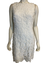 Lauren Ralph Lauren Women&#39;s Lace Sleeveless Dress White Size 10 - £30.36 GBP