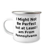 Sarcasm Pennsylvania Gifts, I Might Not Be Perfect but at Least I am From Pennsy - £15.59 GBP