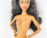 Barbie Model Muse Doll Body Nude Freckles Black AA - £19.66 GBP