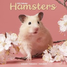 Hamsters 2025 Square Wall Calendar | Animal, Wildlife Calendar ENGLISH E... - $13.00