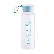 Golandstar Portable 460ml Water Bottles Frosted Glass Bottle Drinkware for Water - £13.48 GBP