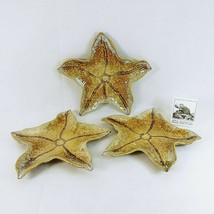 Starfish Serving Plates Sea Life Detailed Set of 3 Ceramic 10&quot; - £26.61 GBP