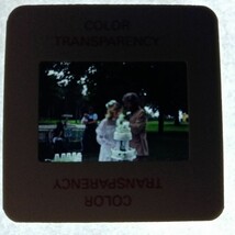 1981 Wedding In Park Newlyweds Man Wife Big Cake Found 35mm Slide Photo ... - $8.49