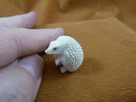 Hed-w1 little white Hedgehog shed moose ANTLER figurine Bali detailed ca... - $86.94