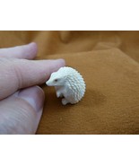 Hed-w1 little white Hedgehog shed moose ANTLER figurine Bali detailed ca... - £68.36 GBP