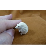 Hed-w1 little white Hedgehog shed moose ANTLER figurine Bali detailed ca... - $86.94