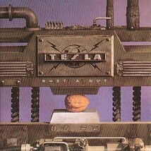Tesla : Bust A Nut CD (1998) - $6.35