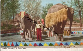 Elephant Show St. Louis Zoo MO Postcard PC322 - £7.98 GBP