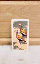 Red Rose Tea Mini Trade Card 2&quot; x 1&quot; Vintage 1963 S6N5 Tree Duck Birds - €17,28 EUR