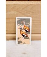 Red Rose Tea Mini Trade Card 2&quot; x 1&quot; Vintage 1963 S6N5 Tree Duck Birds - €17,15 EUR