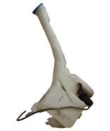 01 02 03 Honda Civic sedan washer fluid reservoir OEM - €29,76 EUR