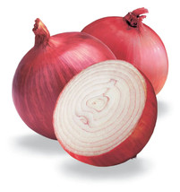 250 Seeds Red Burgundy Onion Allium Cepa Vegetable  - $9.68