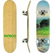 Valley Disaster Graphic Bamboo Skateboard (Complete Skateboard) - $125.00