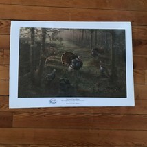 Pick ‘n Save The Fans of Royal Ridges by Sam Timm Turkey Wildlife Print ... - £15.36 GBP