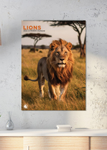 Lions Calendar 2026 - $19.99