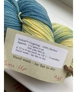 Backyard Fibers 2 Ply SoSoft Fingering Yarn 100% Merino Wool Suns Up 4 O... - £19.06 GBP