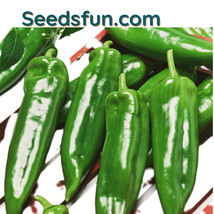 50 Anaheim Chili Pepper Seeds Hot For Roasting And Smoking Fast Shipping - £7.16 GBP