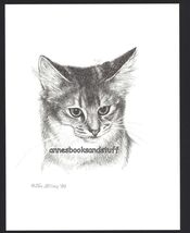 #393 SOMALI CAT PORTRAIT art print * pen &amp; ink  done  by Jan Jellins - $12.50