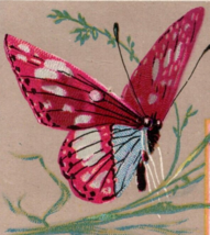 Reward of Merit Victorian Trade Card Butterfly Scene - $3.71