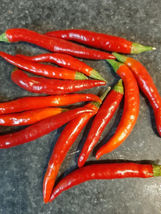 25 Seeds Thai Dragon Pepper Vegetables Garden - $9.67