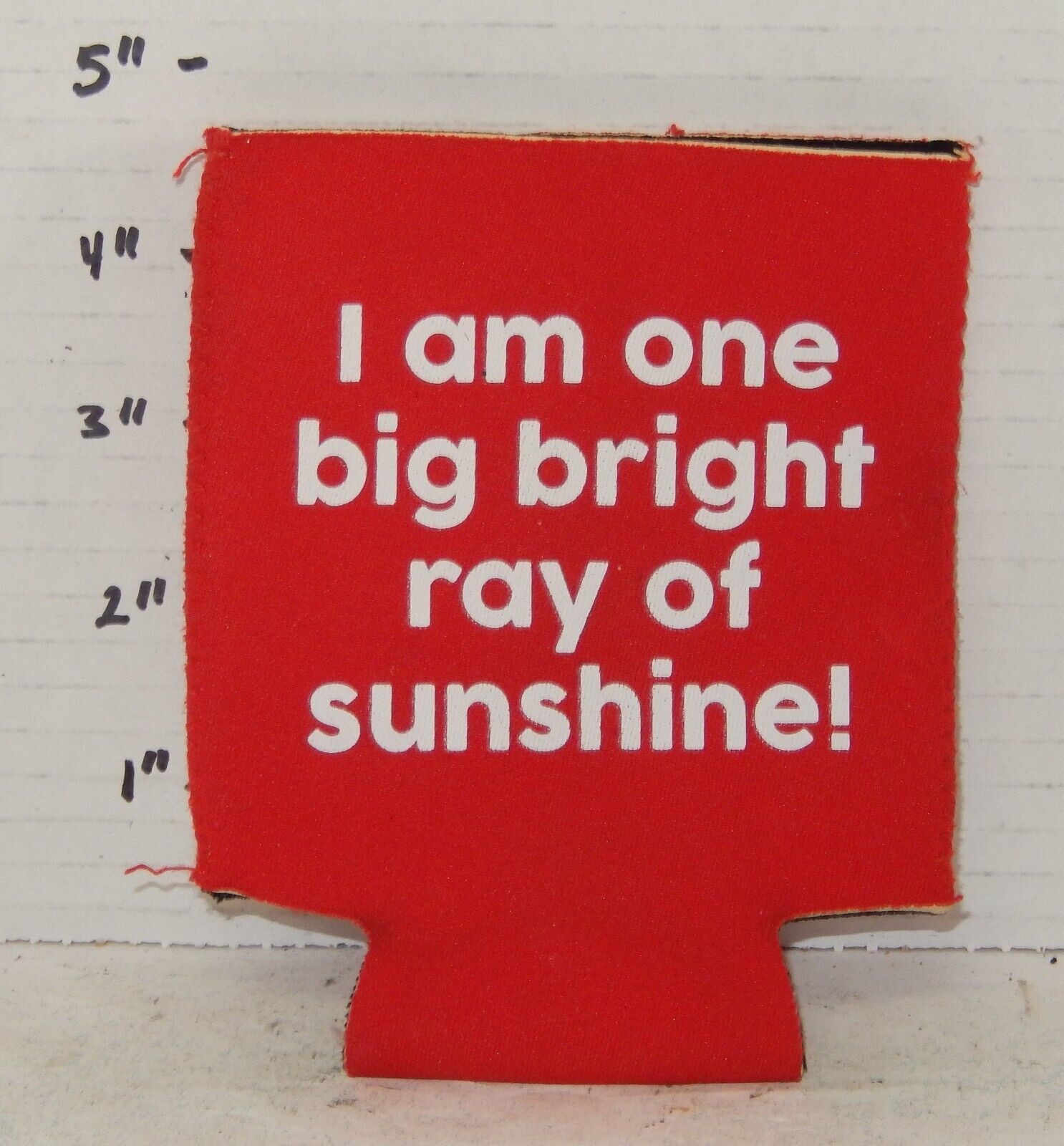 Im One big bright Ray of Sunshine drink Can coozie koozy coozy Koozie In... - $4.90