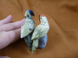y-bir-pa-451 PARROT Macaw pair bird green gemstone SOAPSTONE figurine lo... - $20.56