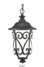 Leawood 1-Light Textured Black Modern Outdoor Hanging Lantern Light - £220.04 GBP