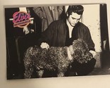 Elvis Presley Collection Trading Card #535 Young Elvis - $1.97