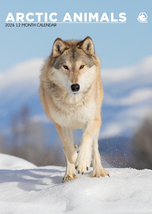 Arctic Animals Calendar 2026 - $19.99