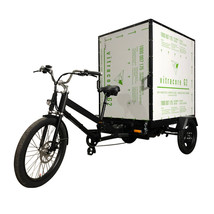 Effortless Cargo Transport | Electric Box Cargo Bike Trike - £4,075.91 GBP