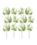 Light Varigated Philo Leaf Stem (Set of 12) - $52.56