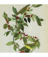 Nashville Warbler Bird 1946 Color Plate Print John James Audubon Nature ... - $552.13 MXN