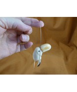(TNE-BIR-TO-17d) baby Toucan bird birds swing TAGUA NUT nuts figurine to... - $546.02 MXN