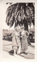 Antique Photo - Oregon Women in front of Palm Tree, Period Clothes - Early 1900s - £3.79 GBP