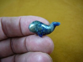 Y-WHA-SP-500) Baby Sperm Whale Blue Sodalite 1&quot; Figurine Gemstone Love Whales - $8.59