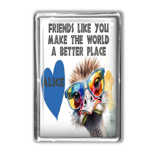 Friendship Magnet Personalised gift Funny Friend handmade Gift premium magnet - $5.68