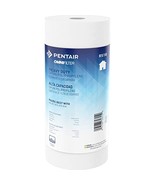 Pentair OMNIFilter RS18 Sediment Water Filter, 10-Inch, Whole House Heav... - £18.05 GBP