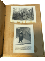 Photo Album 1948 San Diego Zoo Ca Photograph Lot 6th Grade Class Trip Bear image 1