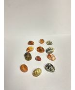 Beautiful Amber Family  Natural Sea Shells  - £27.71 GBP